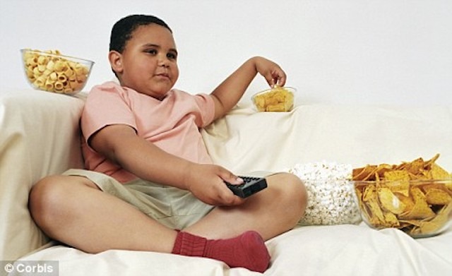 5 Causes of obesity in children and the prevention tips