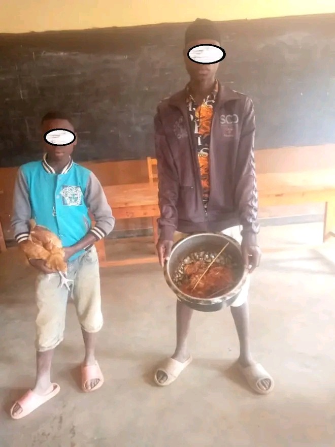 Two Young Thieves Caught with Stolen Chickens After Eating Four